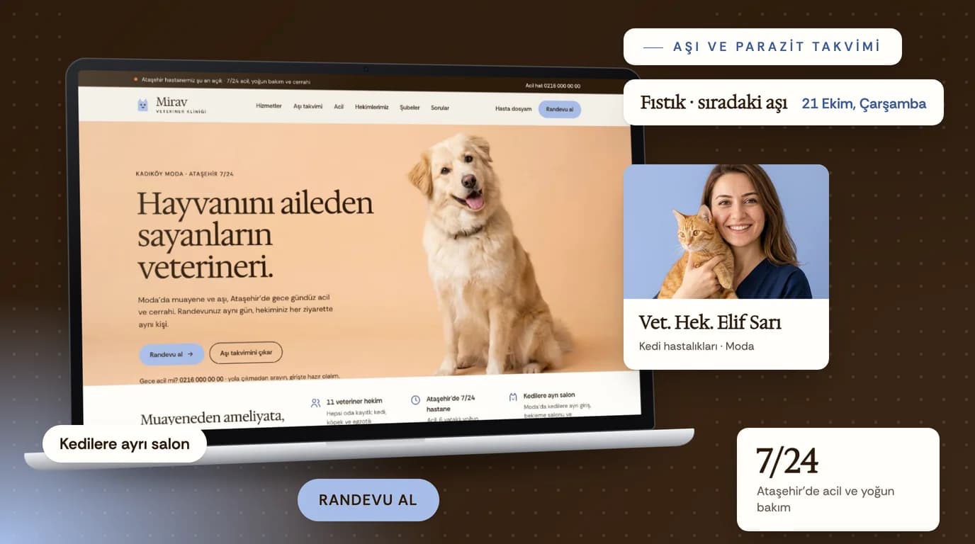 Mirav, Veteriner Kliniği web sitesi prototipi