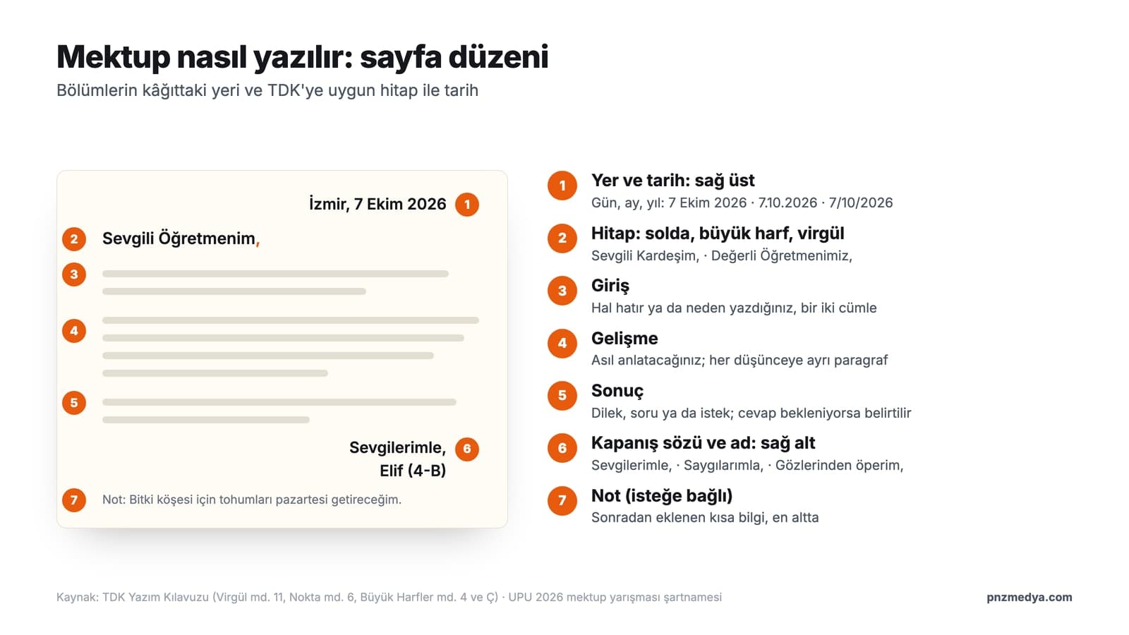 Mektup nasıl yazılır: yer ve tarih sağ üstte, hitap solda, giriş, gelişme ve sonuç paragrafları, kapanış sözü ve ad sağ altta gösteren mektup düzeni şeması