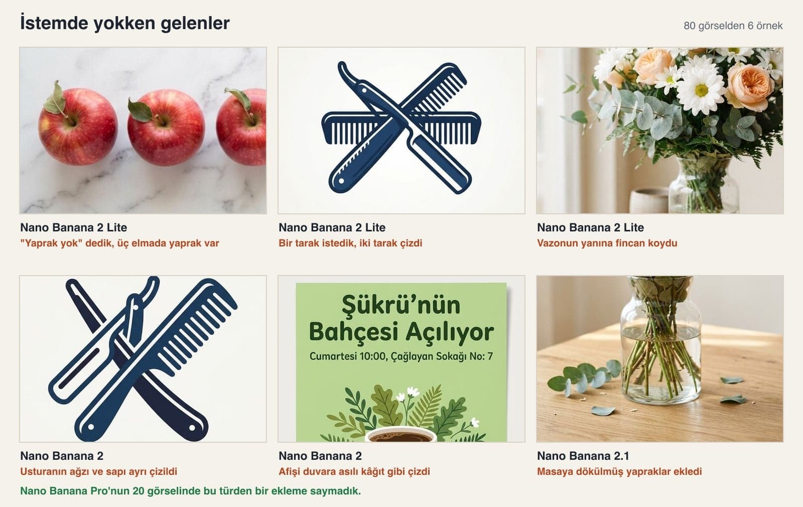 Additions not in the prompt in Nano Banana 2 Lite, Nano Banana 2 and Nano Banana 2.1 outputs: a leaf on an apple, a second comb, a cup, a broken razor, a poster on a wall and fallen petals
